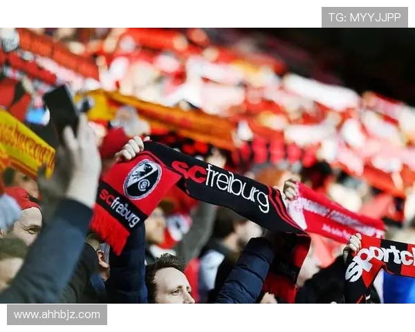 德甲联赛球队收益与分成比例表高清图解